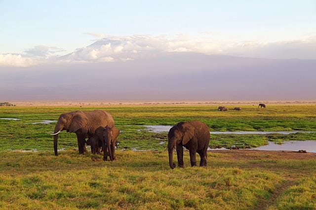 Visitar el país de Kenia