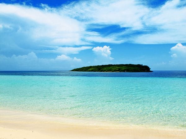 Vieques: Un Paraíso Puertorriqueño para el Viajero Aventurero